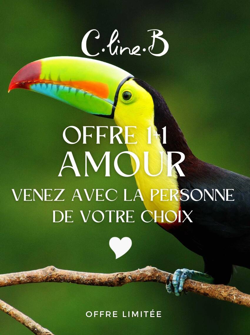 Offre amour 1+1 🎔 Spa+Massage - Venez avec la personne de votre choix