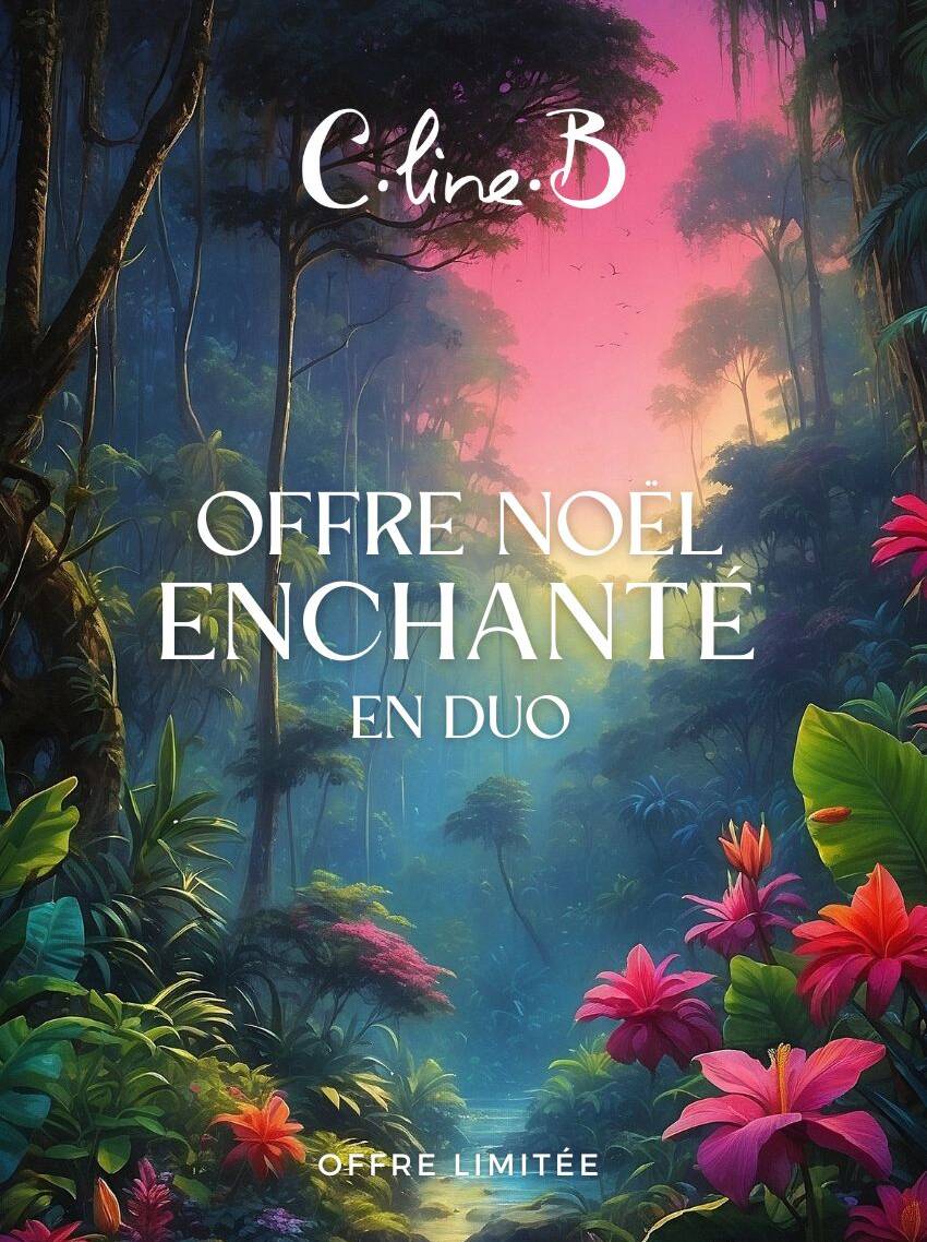 Offre Noël enchanté : Spa + Massage + Resto